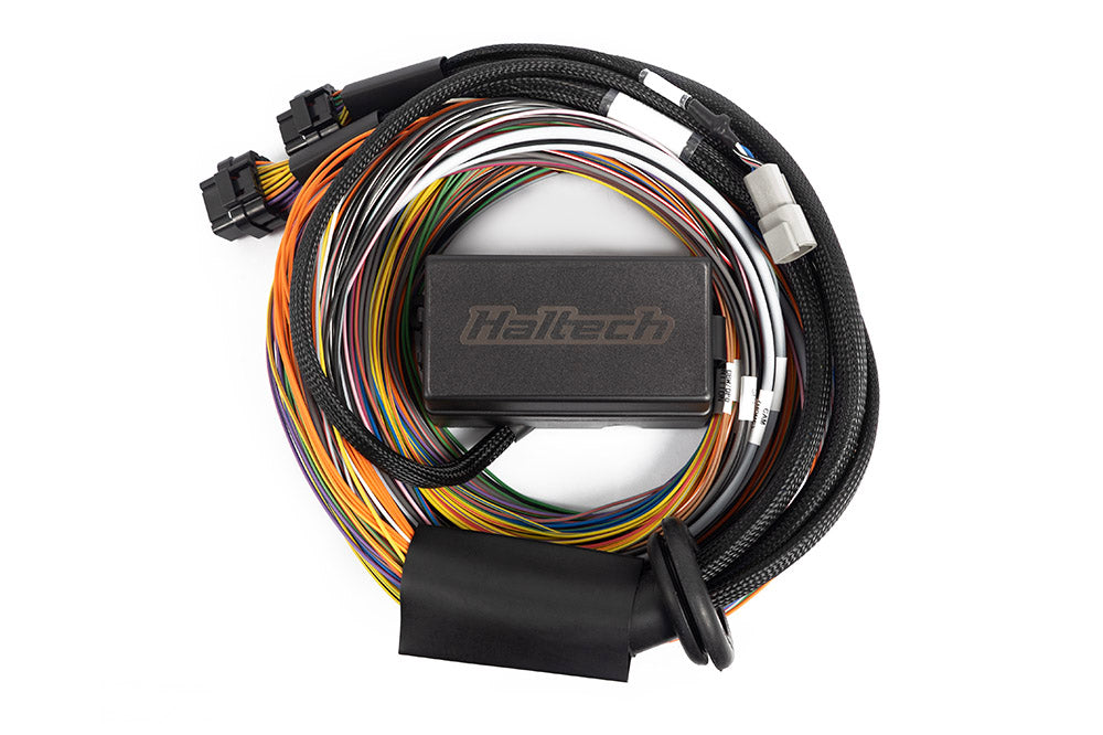 Haltech Universal Elite 2500/2500 T Premium Wire-In Harness