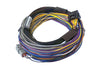 Haltech Elite 750 + Basic Universal Wire-in Harness Kit Length: 2.5m (8') HT-150602