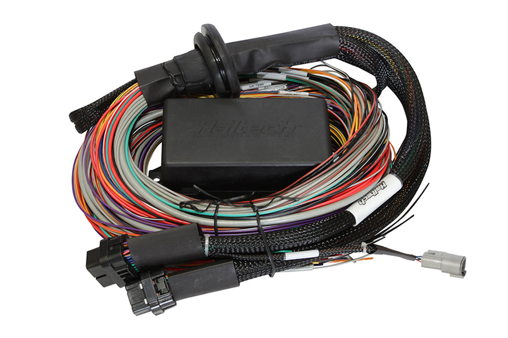 Haltech Elite 1500 + Premium Universal Wire-in Harness Kit Length: 2.5m (8') HT-150904