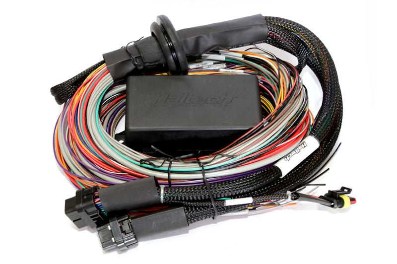 Haltech Elite 2500 + Premium Universal Wire-in Harness Kit Length: 2.5m (8') HT-151304