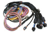 Haltech NEXUS R5 + Universal Wire-in Harness Kit Length: 2.5m (8') HT-195200