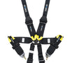 NRG FIA Seat Belt Harness