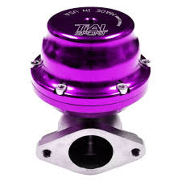 TiAL Tial 38mm Wastegate 2 Bolt (F38) Kit