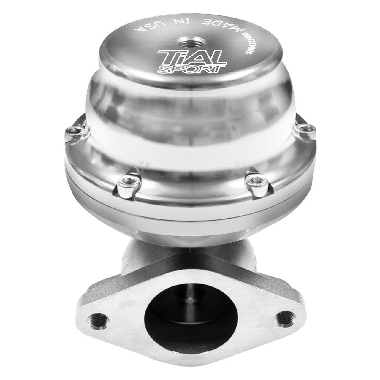 TiAL Tial 38mm Wastegate 2 Bolt (F38) Kit